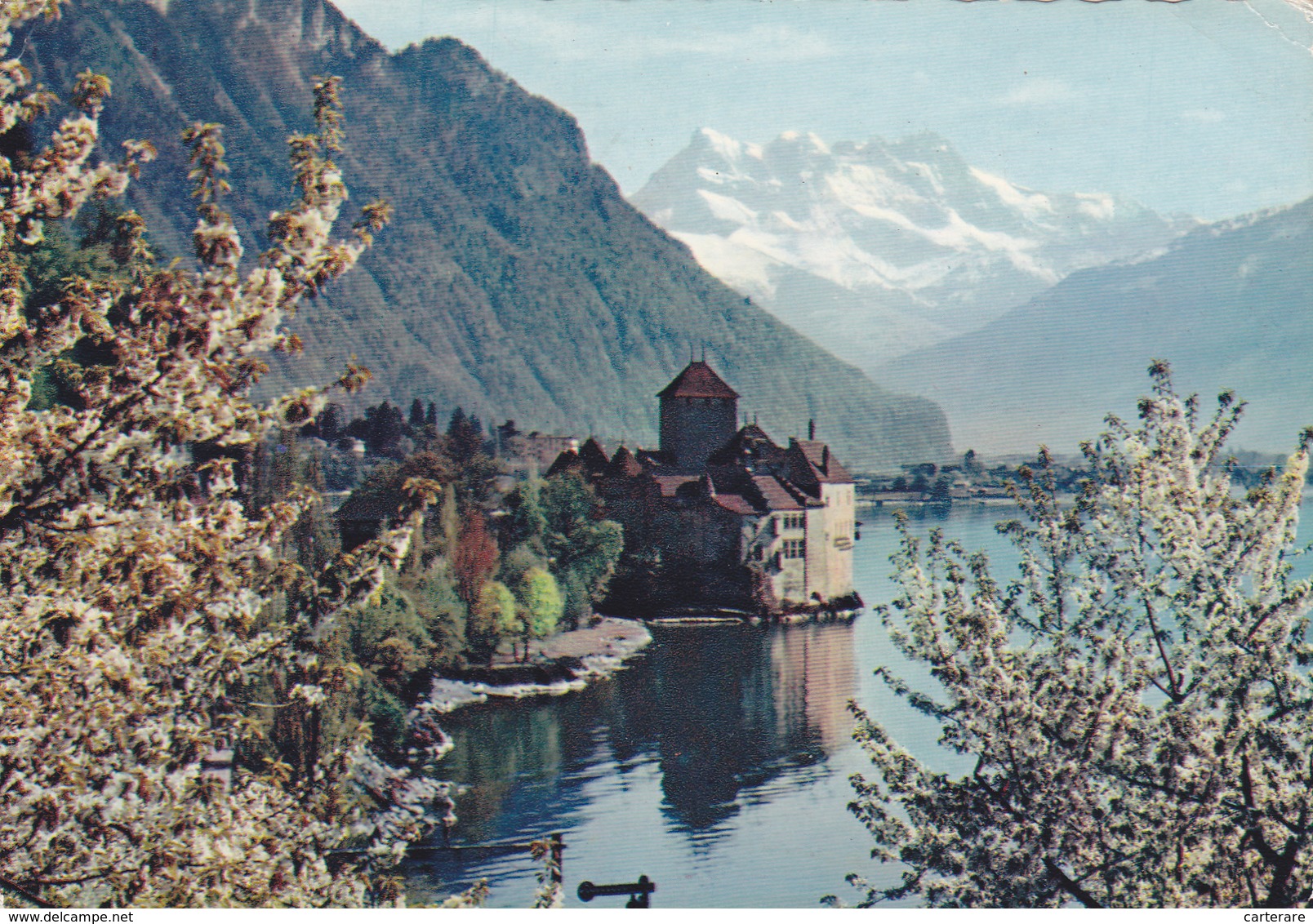 SUISSE,SWITZERLAND,SVIZZERA,SCHWEIZ,HELVETIA,SWISS ,VAUD,MONTREUX,TERRITET, Riviera Paysd'enhaut,chateau Chillon - Montreux