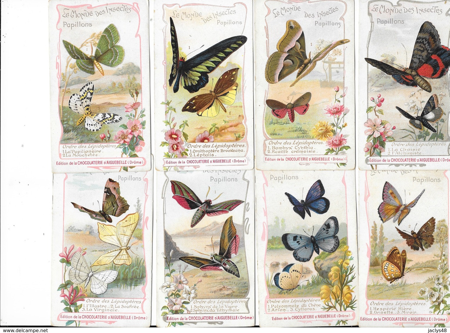 CHROMOS - Collection De 24 Chromos " Le Monde Des Insectes - Les Papillons " Les Lépidoptères  - L 1 - Aiguebelle