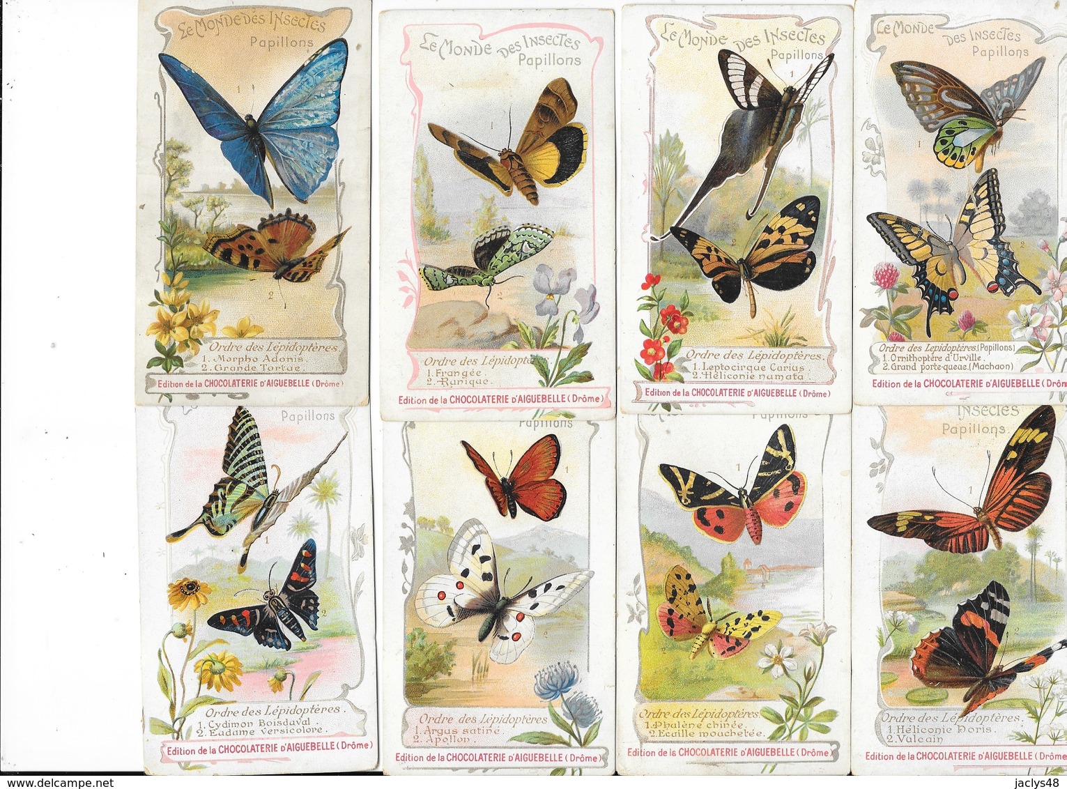 CHROMOS - Collection De 24 Chromos " Le Monde Des Insectes - Les Papillons " Les Lépidoptères  - L 1 - Aiguebelle