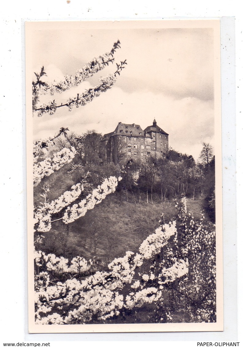 5242 KIRCHEN - FREUSBURG, Jugendburg, 1956 - Kirchen