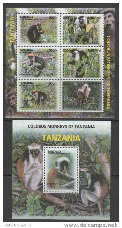 TANZANIA  ,2013, MNH, MONKEYS, COLOBUS MONKEYS, SHEETLET +S/SHEET - Singes