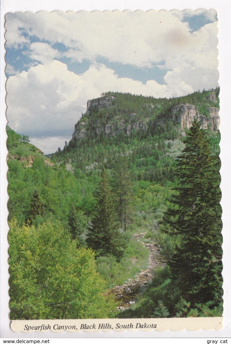 Spearfish Canyon, Black Hills, South Dakota, Unused Postcard [22524] - Other & Unclassified