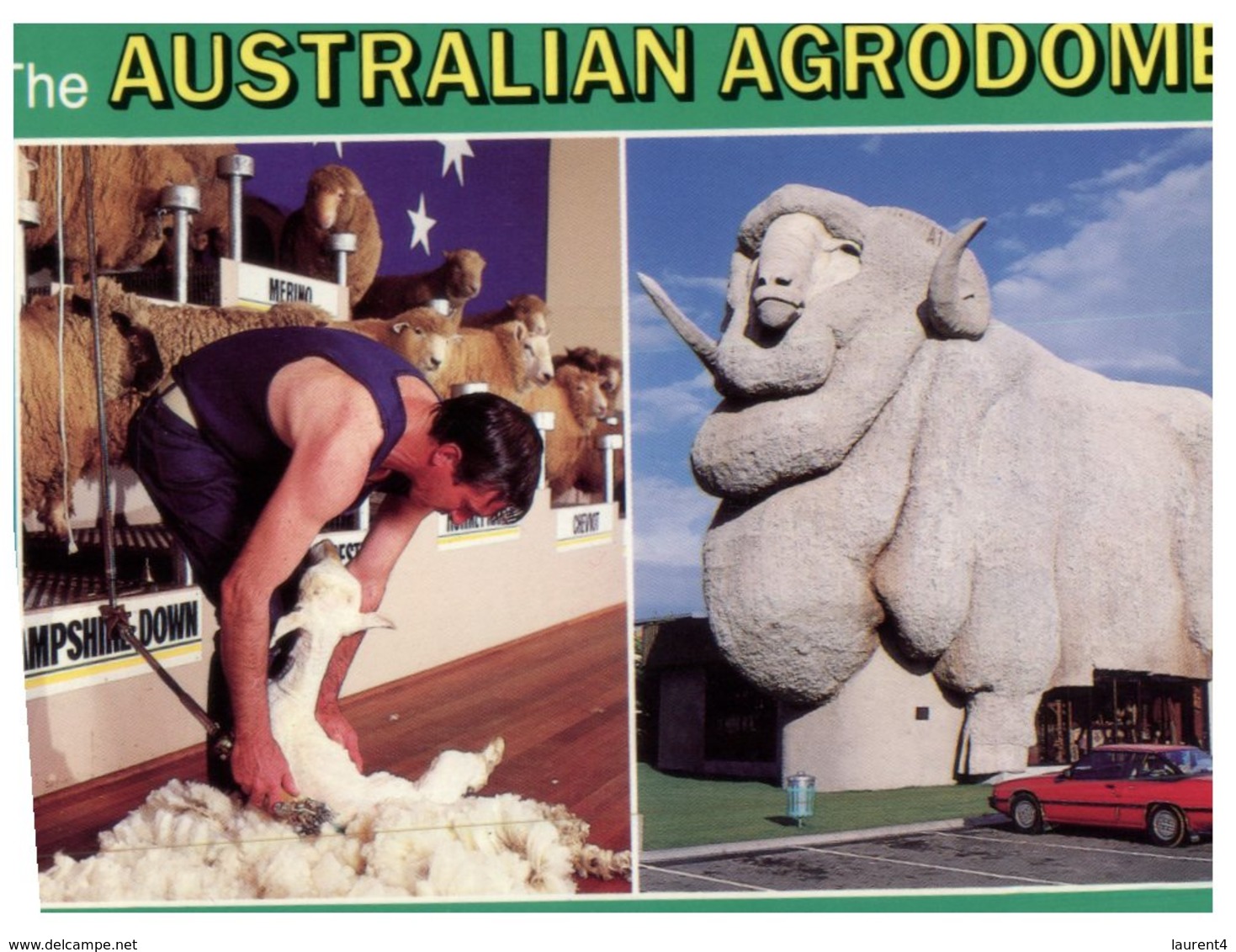 (4444) Australia - NSSW - Australian Agrodome (Big Merino - Goulburn) - Autres & Non Classés