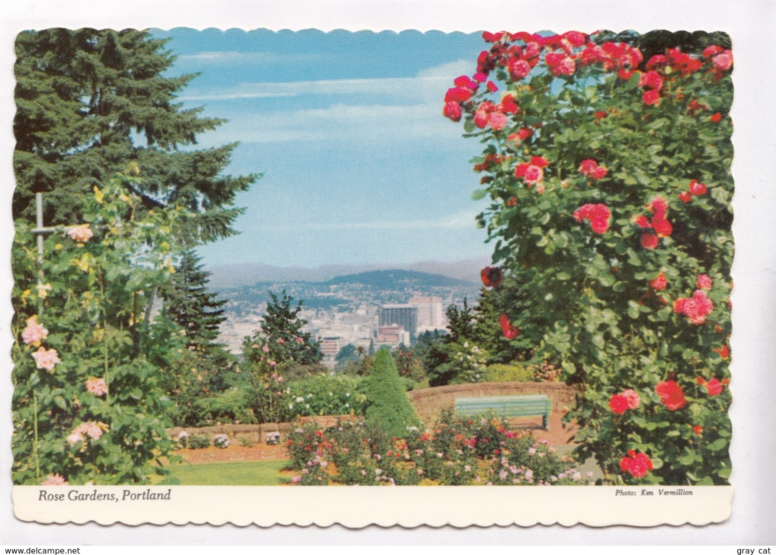 Rose Gardens, Portland, Oregon, Used Postcard [22533] - Portland