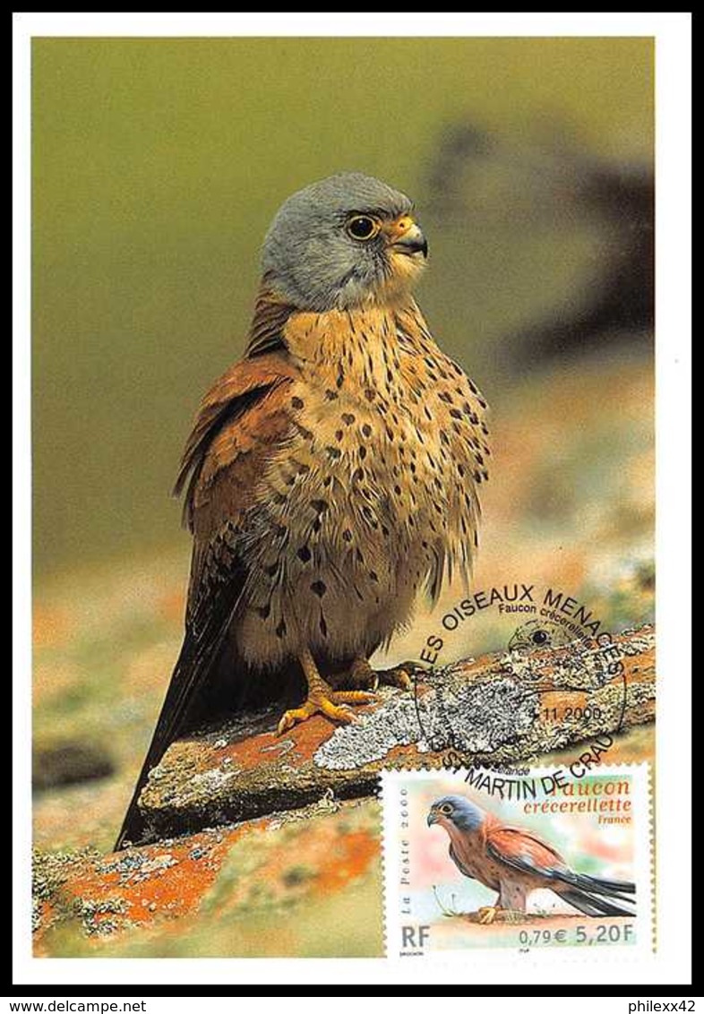 5260/ Carte Maximum (card) France N°3361 Oiseaux (birds) Faucon Crécerellette - 2000-2009