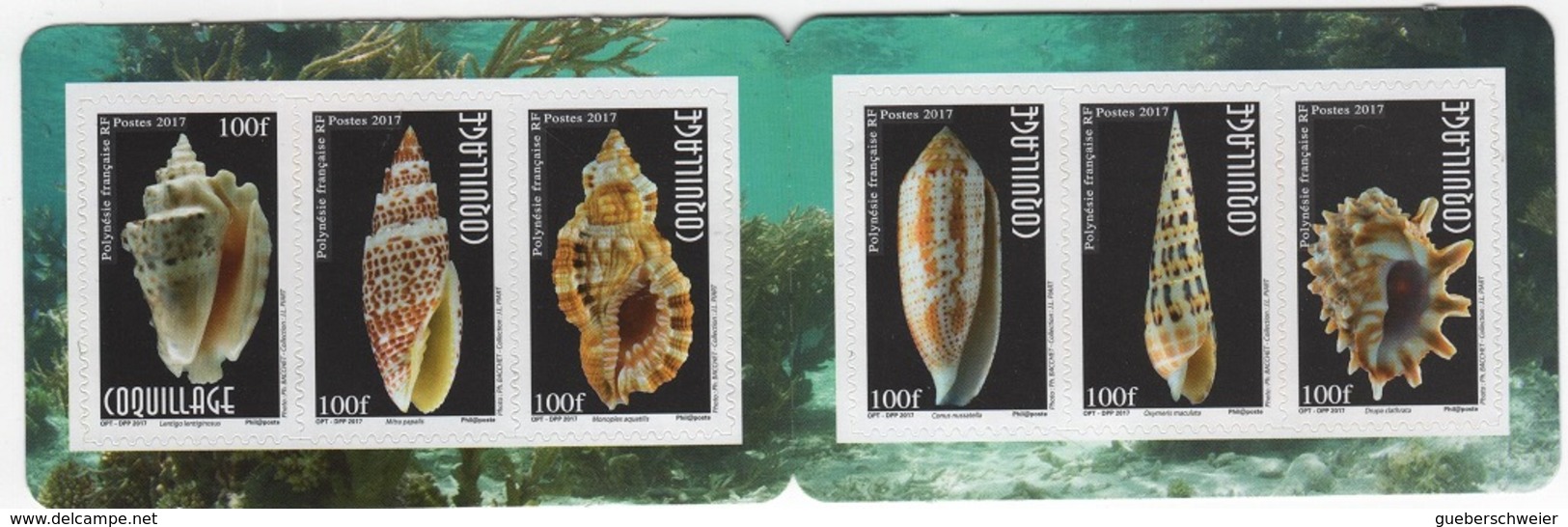 POL 164 - POLYNESIE Carnet Timbres Adhésifs Coquillages Neuf** - Carnets