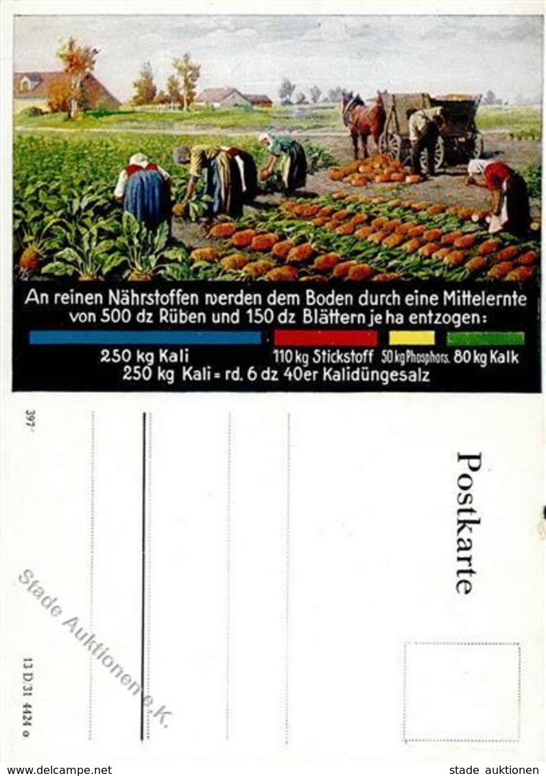 Düngerwerbung Kali Rübenernte I-II (kleiner Einriss) - Advertising