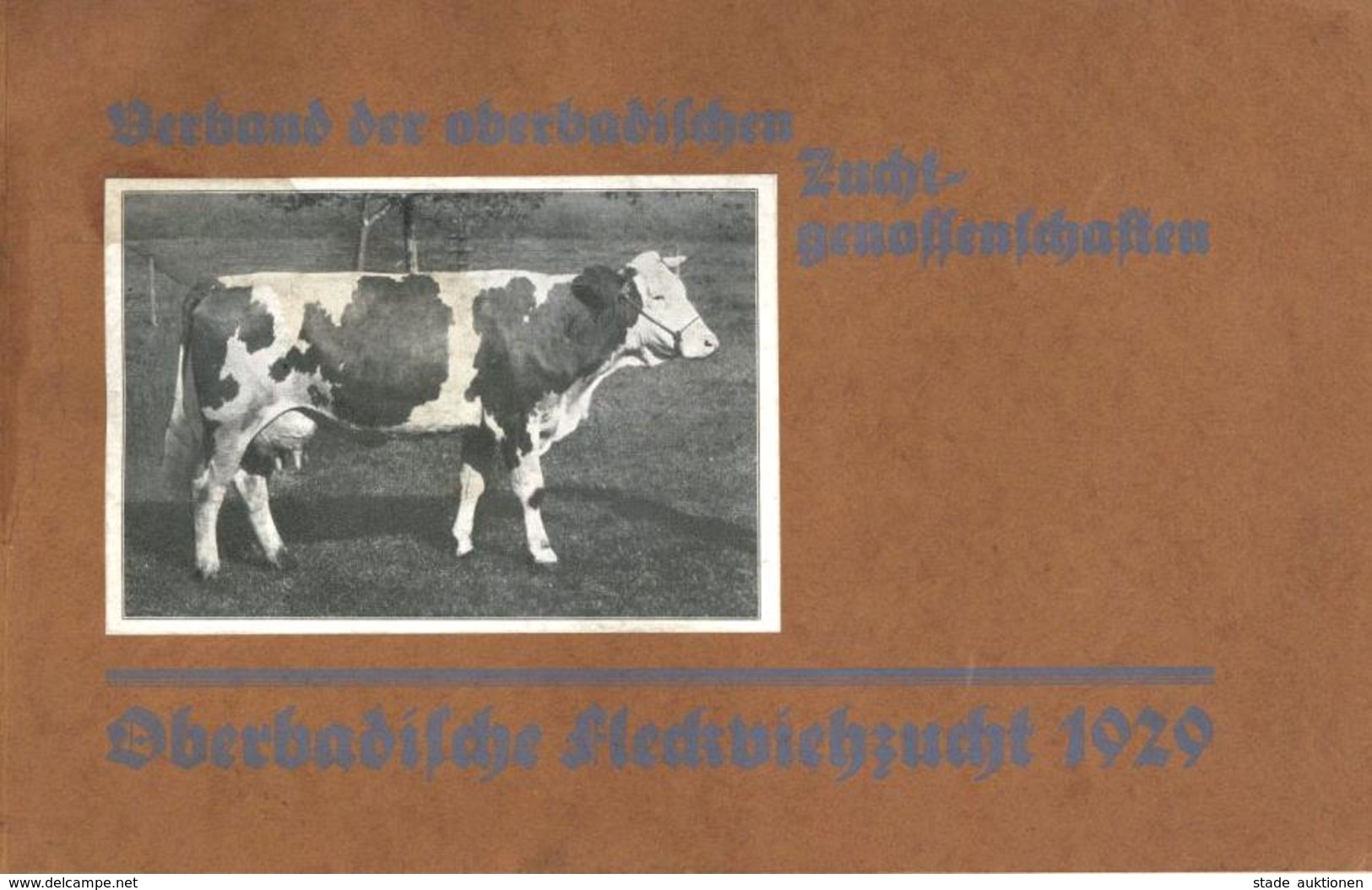 Landwirtschaft Buch Verband Der OberbadischenZuchtgenossenschaft Oberbadische Fleckviehzucht 1929 Sehr Viele Abbildungen - Esposizioni