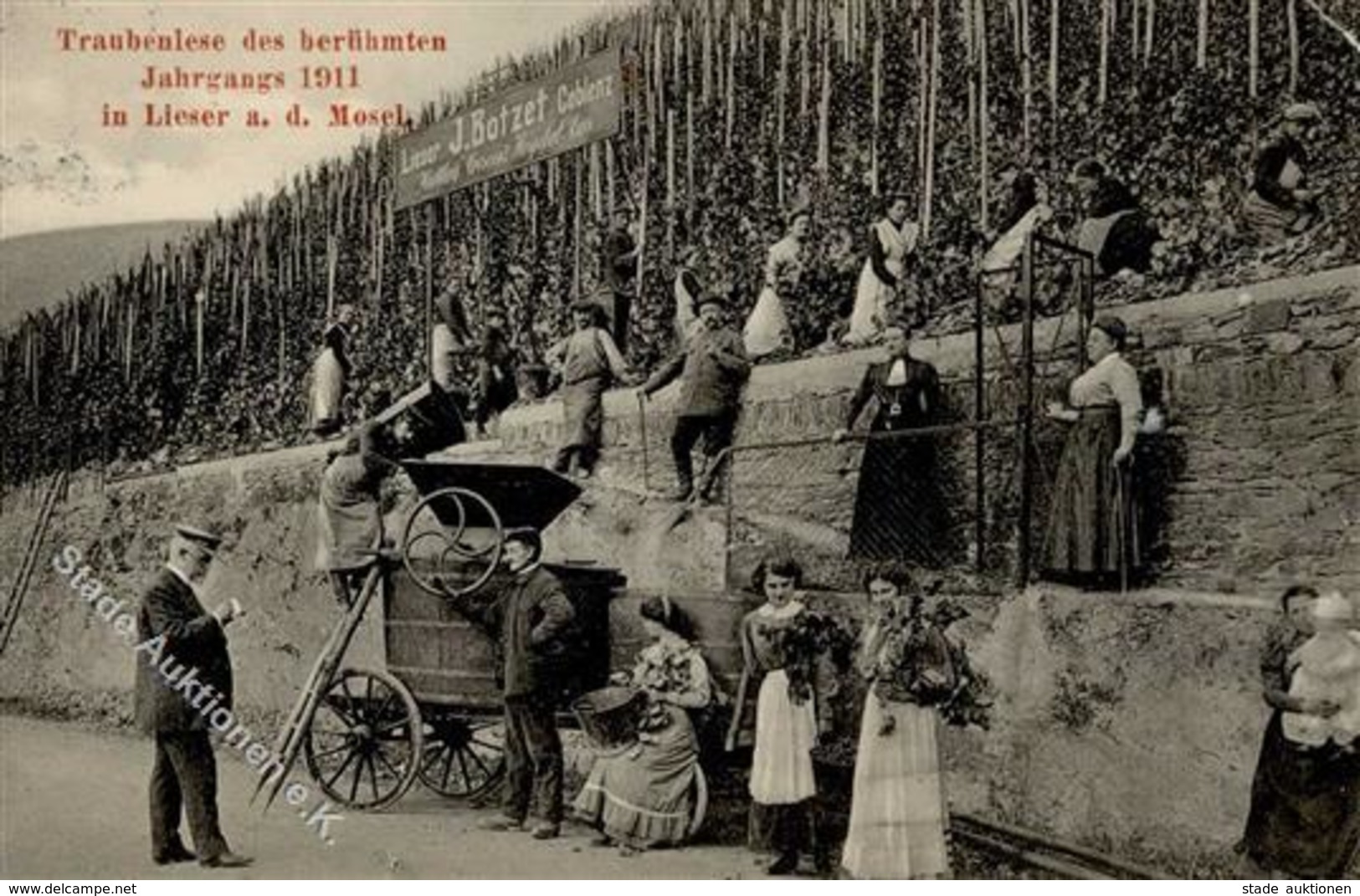 WEIN - TRAUBENLESE Des Berühmten Jahrgangs 1911 In LIESER,Mosel  Ecke Gestoßen I-II - Exhibitions