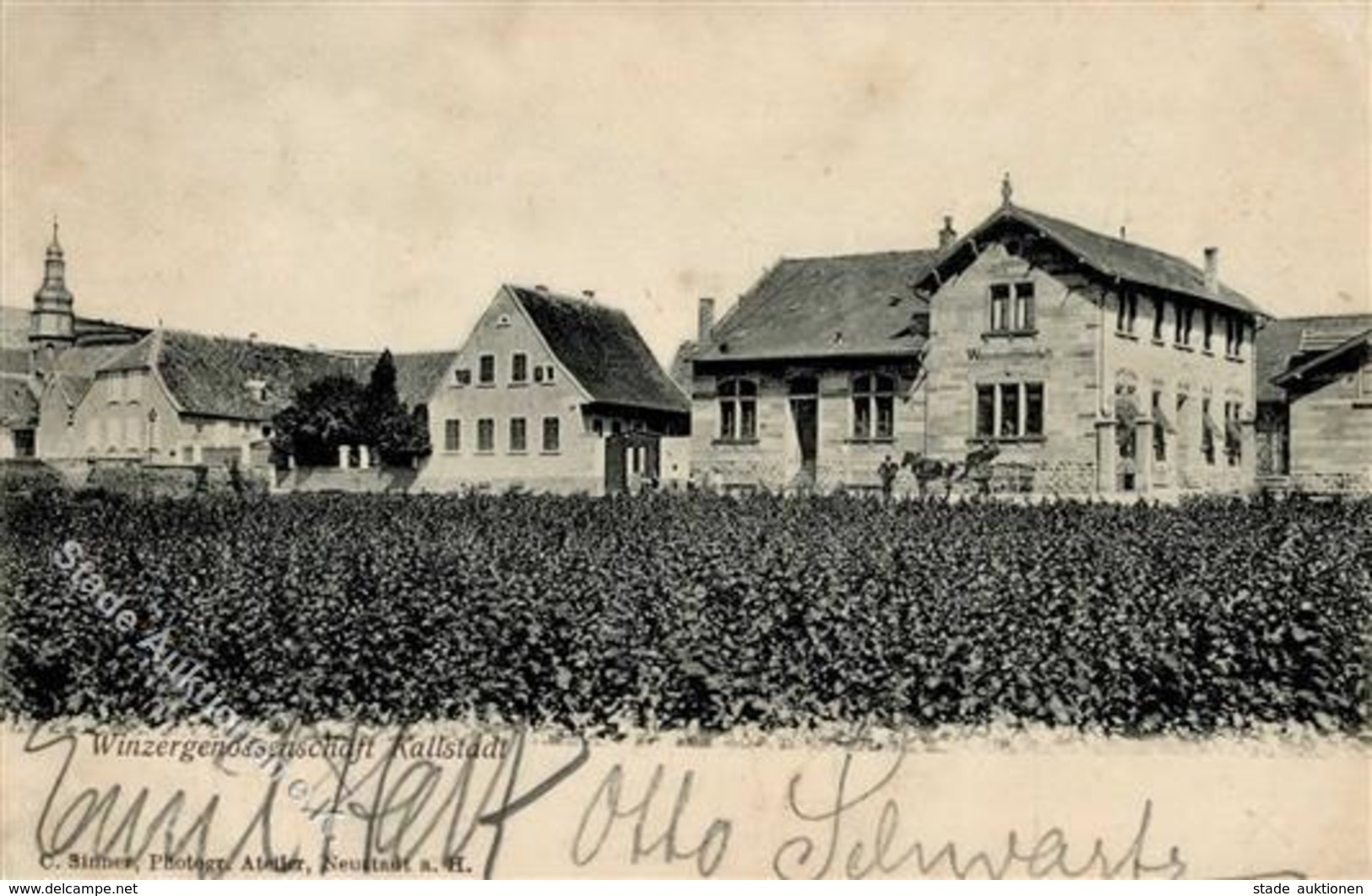 Wein Kallstadt (6701) Winzergenossenschaft Ansichtskarte I-II (Marke Entfernt) Vigne - Ausstellungen