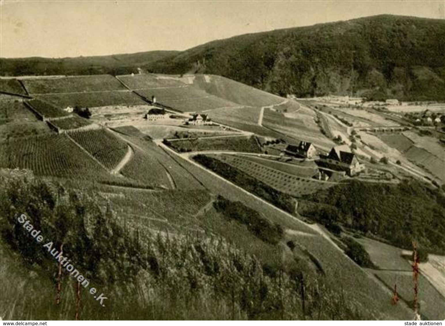 Wein Niederhausen (6551) Preußische Weinbau Domäne Schloßböckelheim I-II Vigne Vigne - Exhibitions