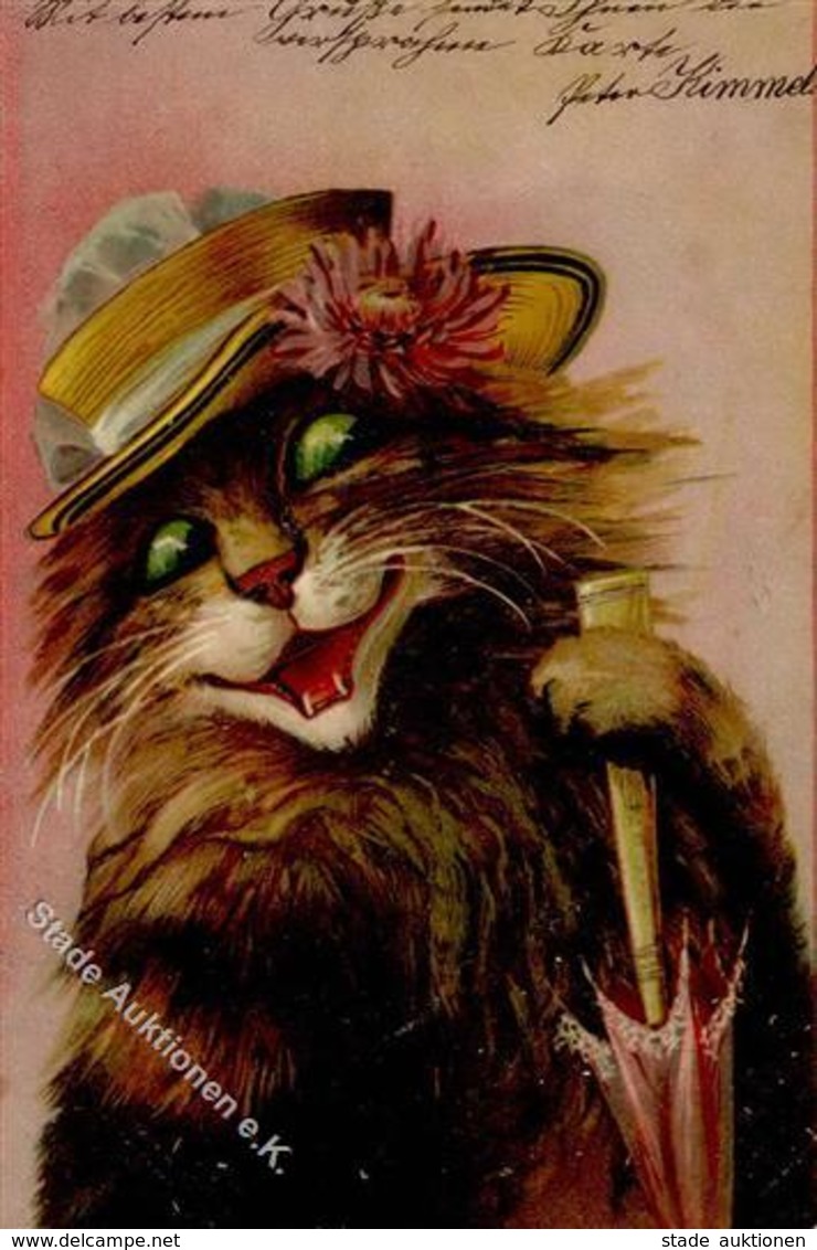 Katze Personifiziert Künstlerkarte 1904 I-II Chat - Chats