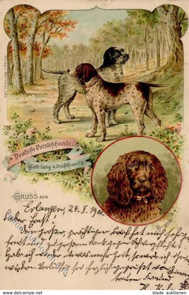 HUNDE - Litho DEUTSCHE VORSTEHHUNDE 1900 I-II - Dogs