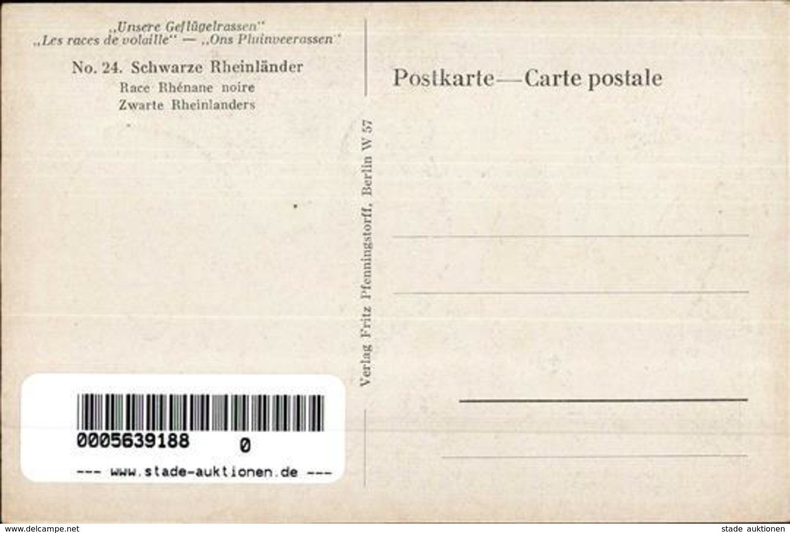 Geflügel Sign. Zander Schwarze Rheinländer Künstlerkarte I-II - Other & Unclassified