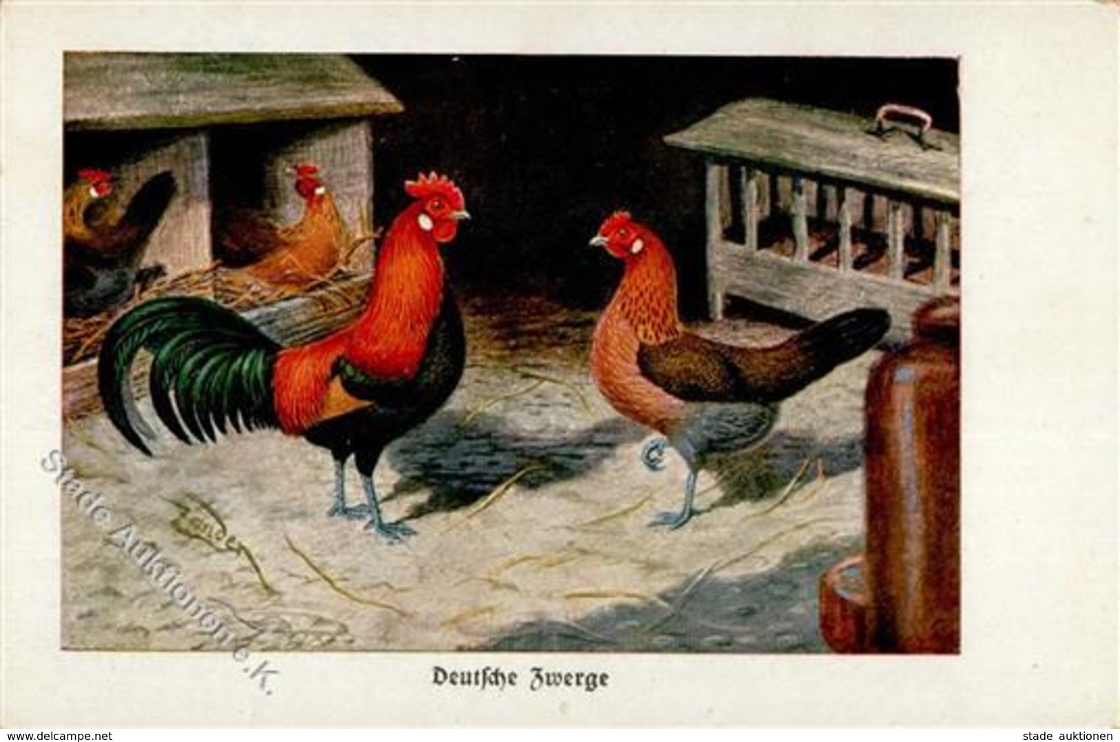 Huhn Deutsche Zwerge Sign. Zander, K. Künstlerkarte I-II Lutin - Sonstige & Ohne Zuordnung