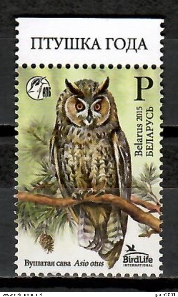 Belarus 2015 Bielorrusia / Birds Owls MNH Vögel Búhos Aves Oiseaux / Cu10511  34 - Otros & Sin Clasificación