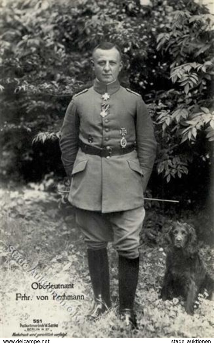 Sanke, Pilot Nr. 551 Pechmann Frhr. V. Oberleutnant Foto AK I - War 1914-18