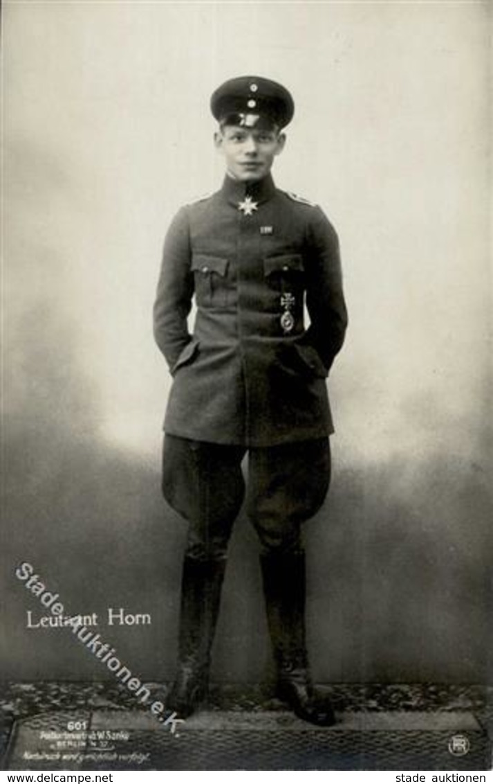 Sanke, Pilot Nr. 601 Horn Leutnant Foto AK I - War 1914-18