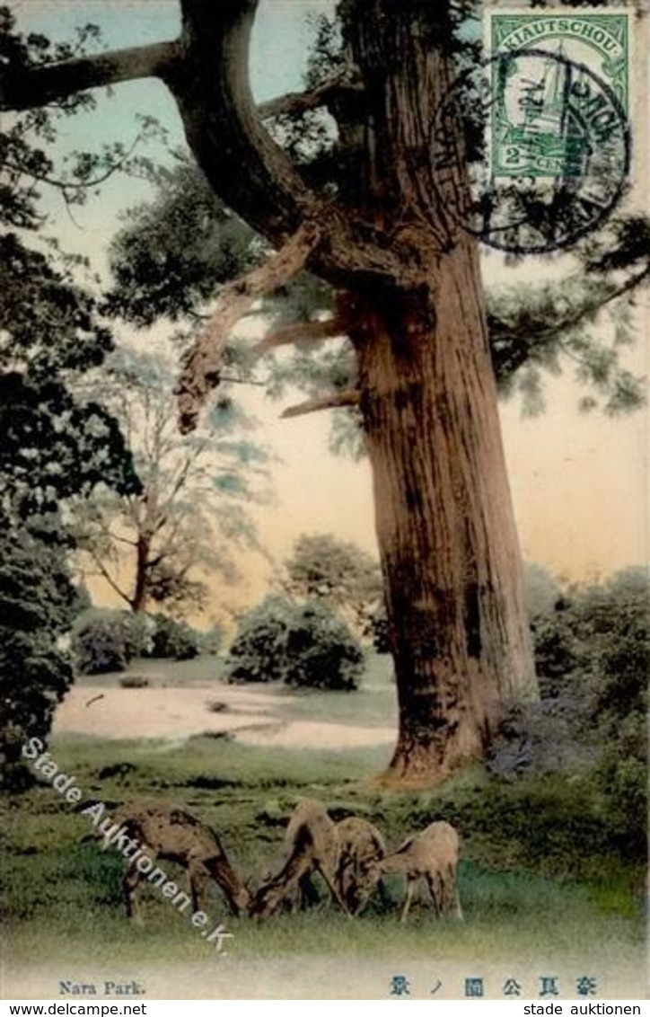 Kolonien Kiautschou Tsingtau Nara Park 1914 I-II Colonies - Unclassified