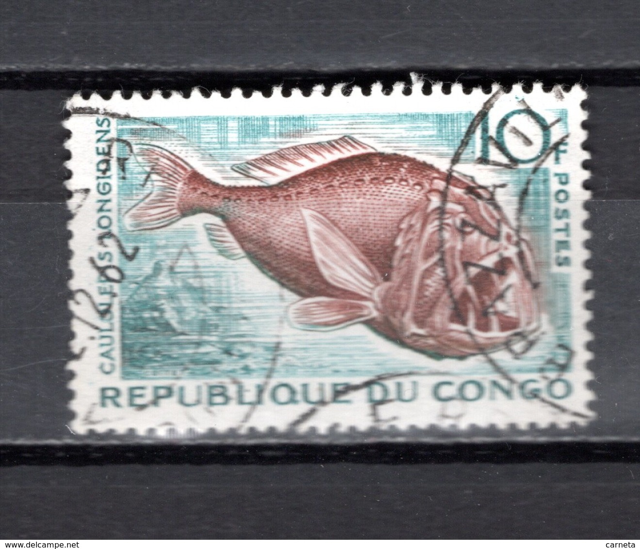 CONGO   N° 147  OBLITERE  COTE  0.45€   POISSON  ANIMAUX - Oblitérés