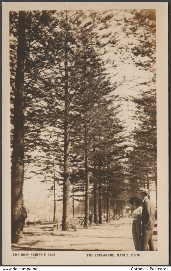 The Esplanade, Manly, Sydney, New South Wales, C.1910s - Rose Stereograph Co RP Postcard - Sydney