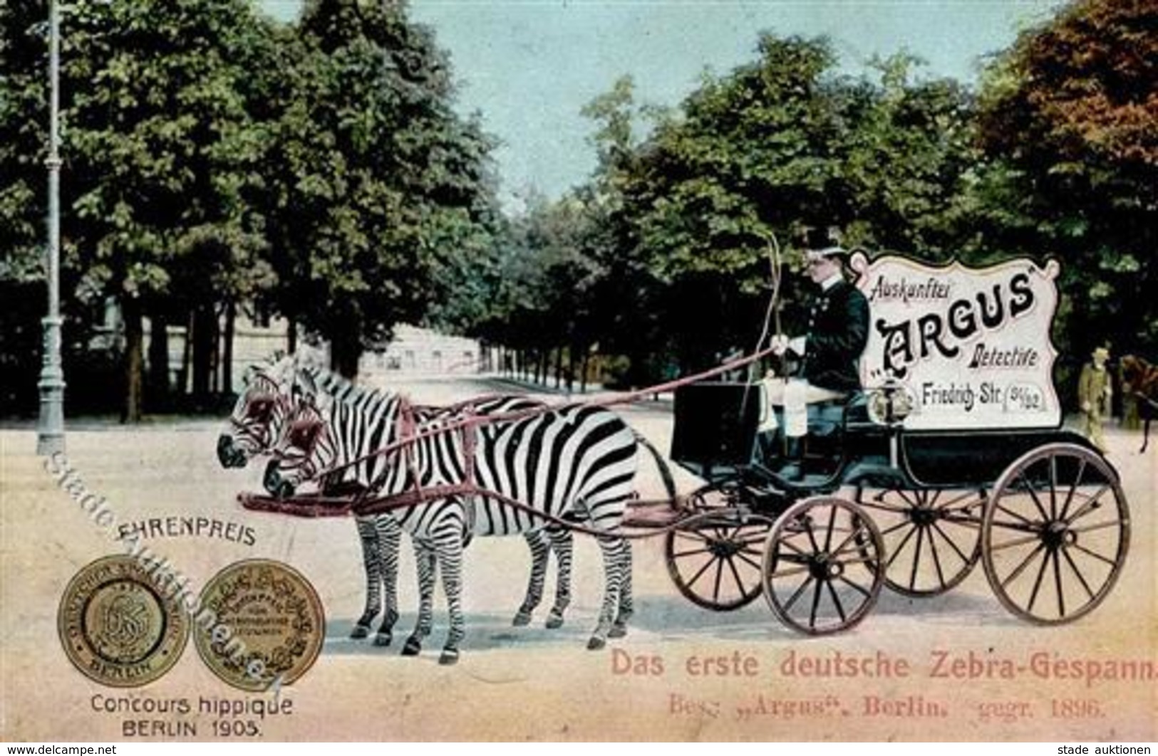 Berlin Mitte (1000) Auskunftei Argus Friedrichstr. 91 Zebra  1906 I-II (Ecken Abgestoßen, RS Fleckig) - Cameroun