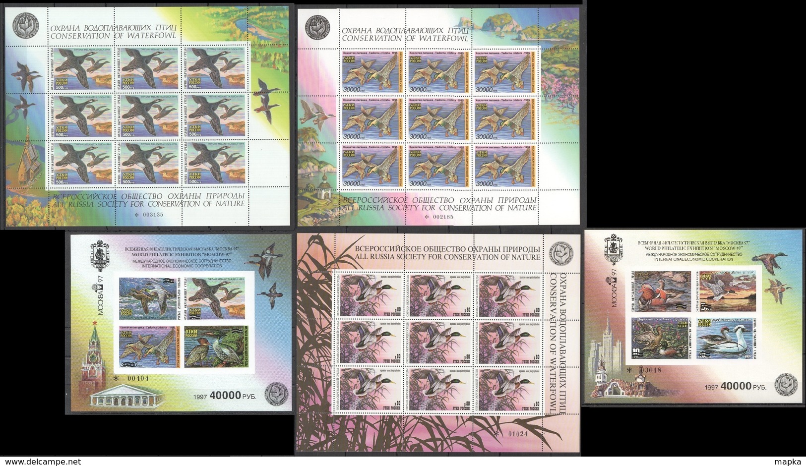 Y1184 !!! IMPERF, PERF RUSSIA FAUNA BIRDS DUCKS CONSERVATION OF WATERFOWL NATURE 2KB+3SH MNH - Canards