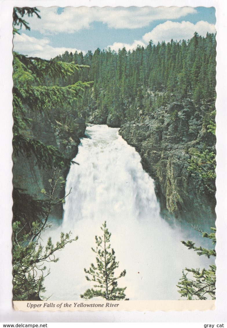 Upper Falls Of The Yellowstone River, Unused Postcard [22543] - Yellowstone