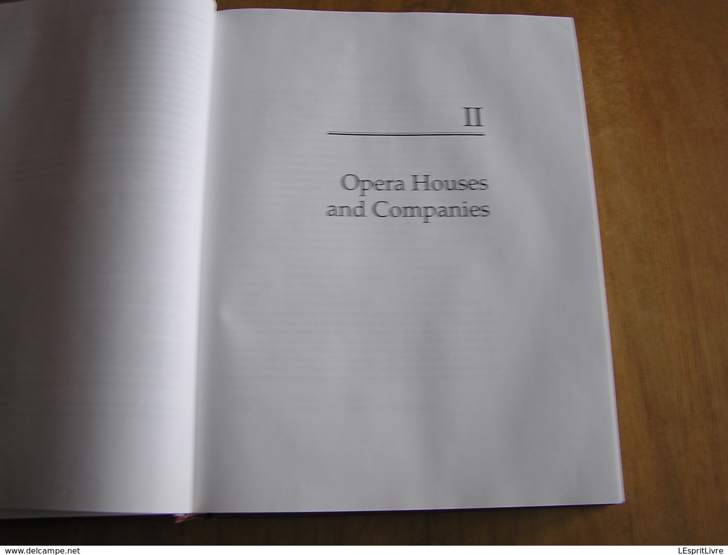 BELGIAN OPERA HOUSES AND SINGERS R Soper Opéras Opérette Ténors Soprano Variétés Musique Chanteur Music hall Théatre