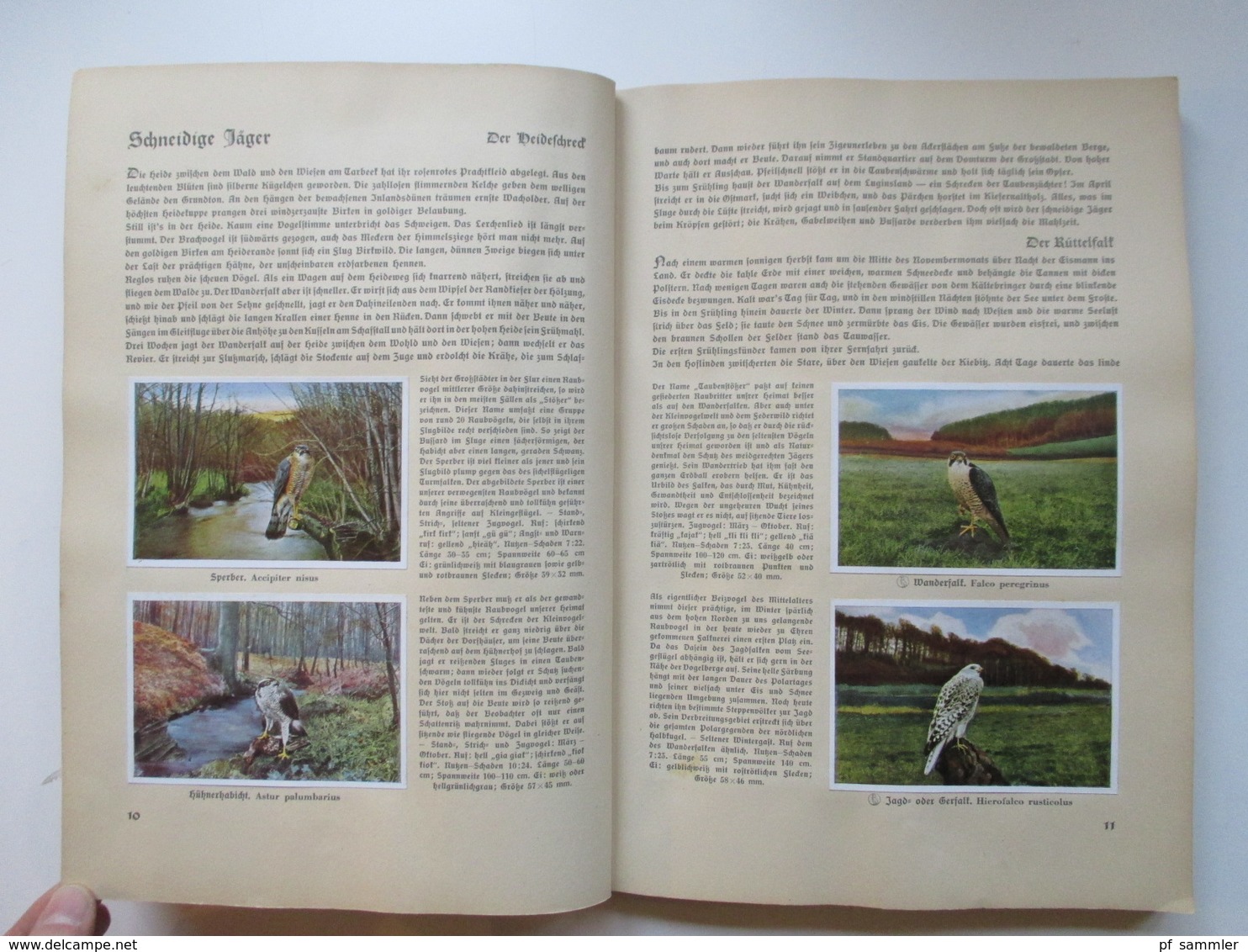 Sammelbilder Komplettes Album Aus Deutschlands Vogelwelt Von 1936 Zigarettenbilder - Albumes & Catálogos