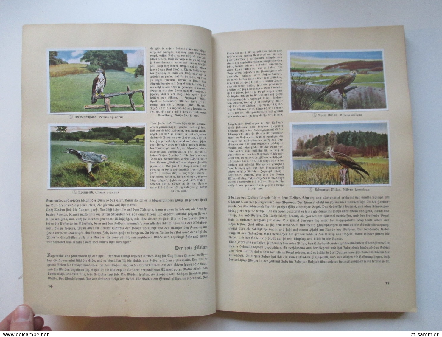 Sammelbilder komplettes Album aus Deutschlands Vogelwelt von 1936 Zigarettenbilder