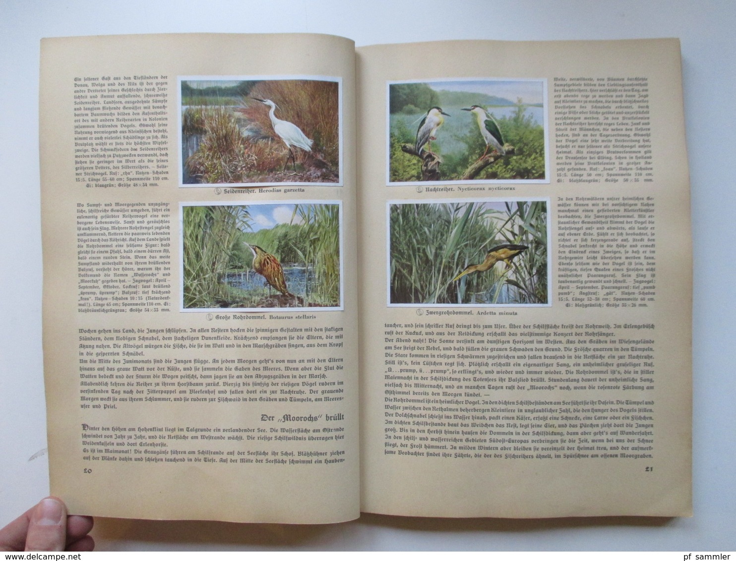 Sammelbilder komplettes Album aus Deutschlands Vogelwelt von 1936 Zigarettenbilder