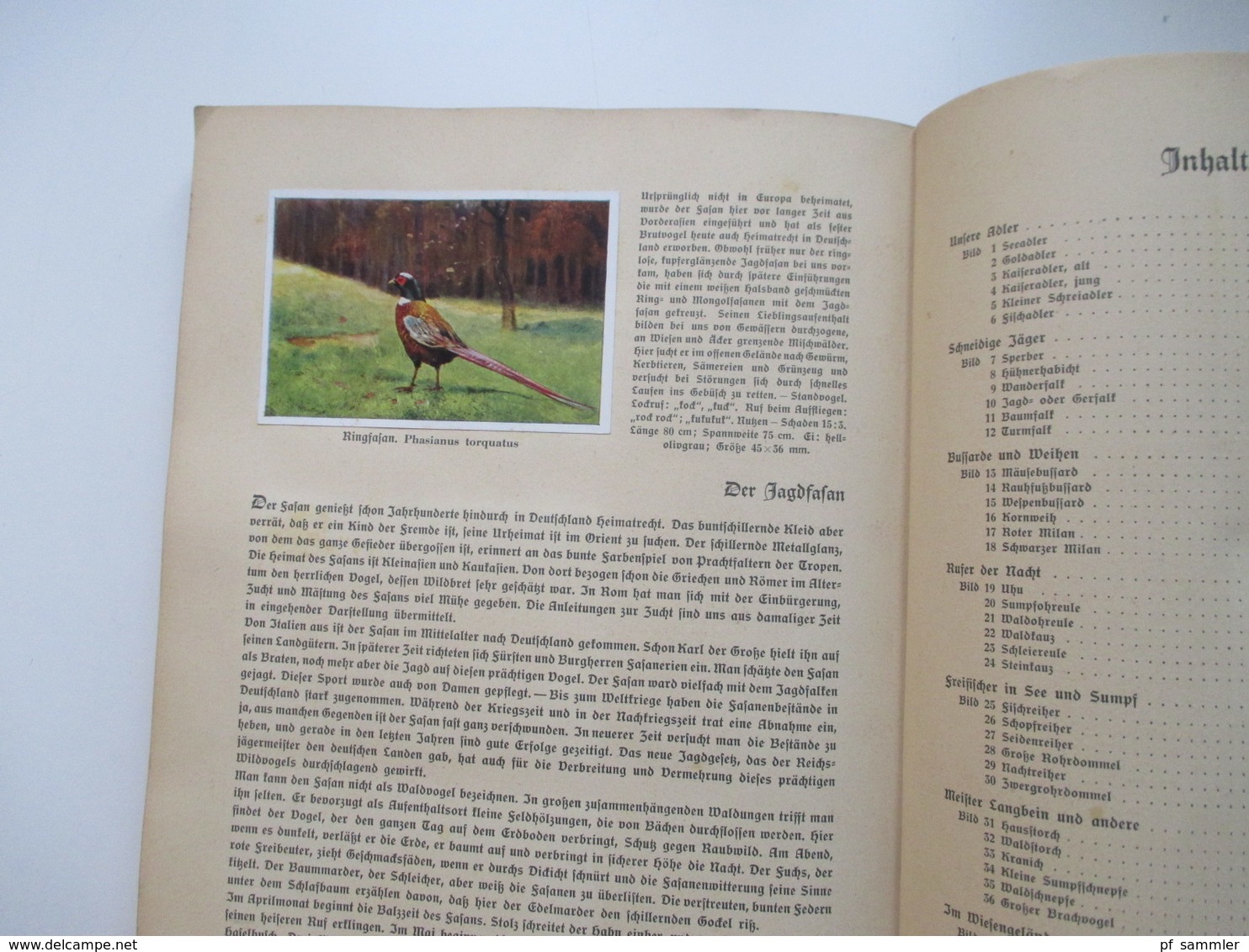 Sammelbilder komplettes Album aus Deutschlands Vogelwelt von 1936 Zigarettenbilder