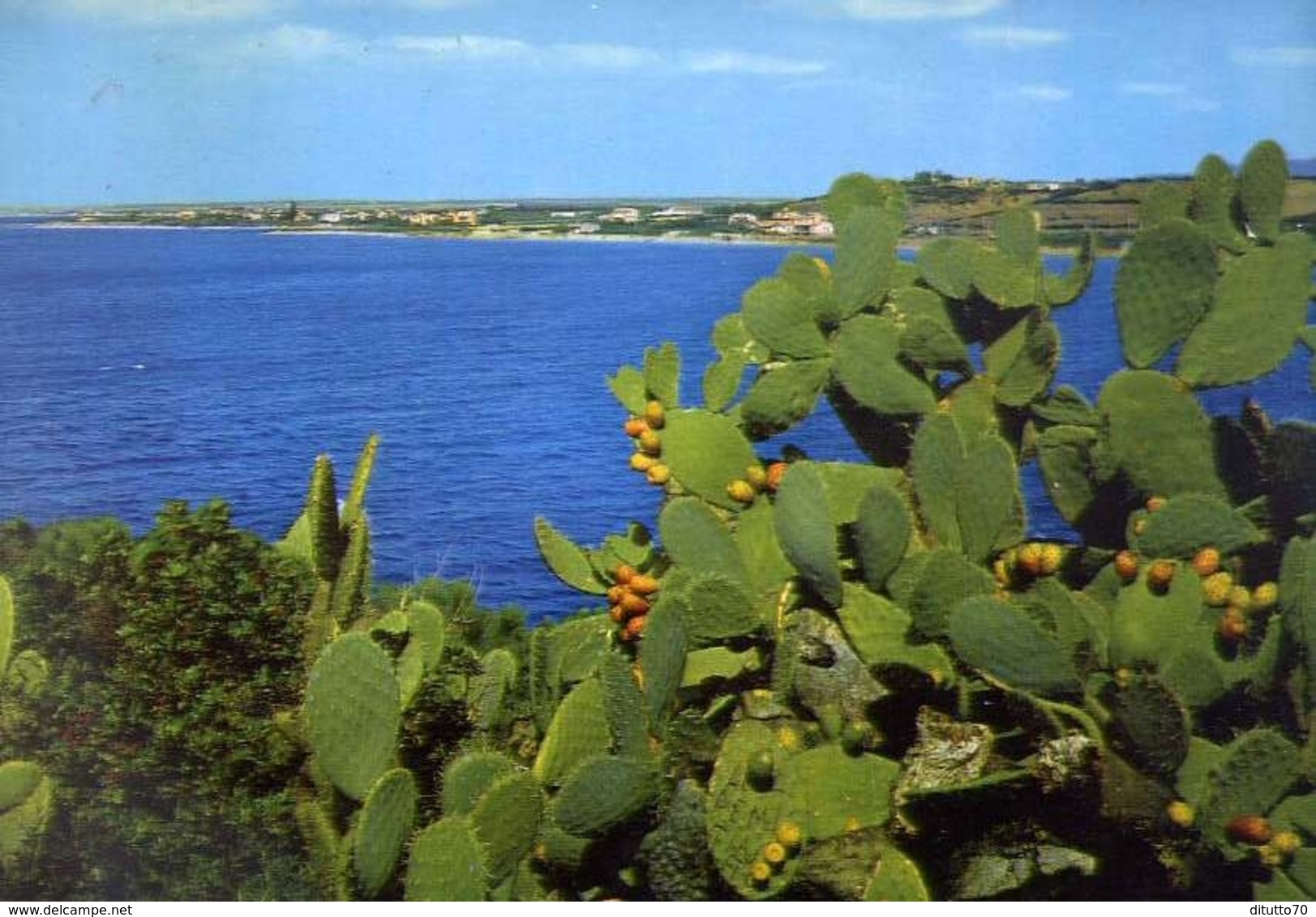 Costa Golfo Degli Angeli - Cagliari - Formato Grande Viaggiata – E 9 - Cagliari