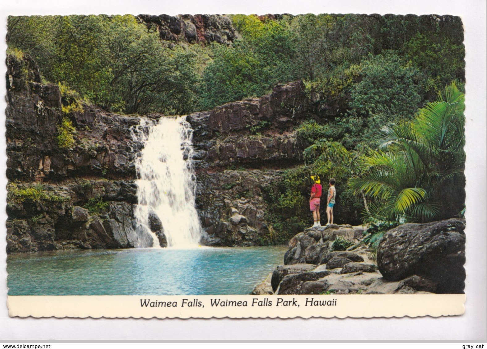 Waimea Falls, Hawaii, 1977 Used Postcard [22550] - Kauai