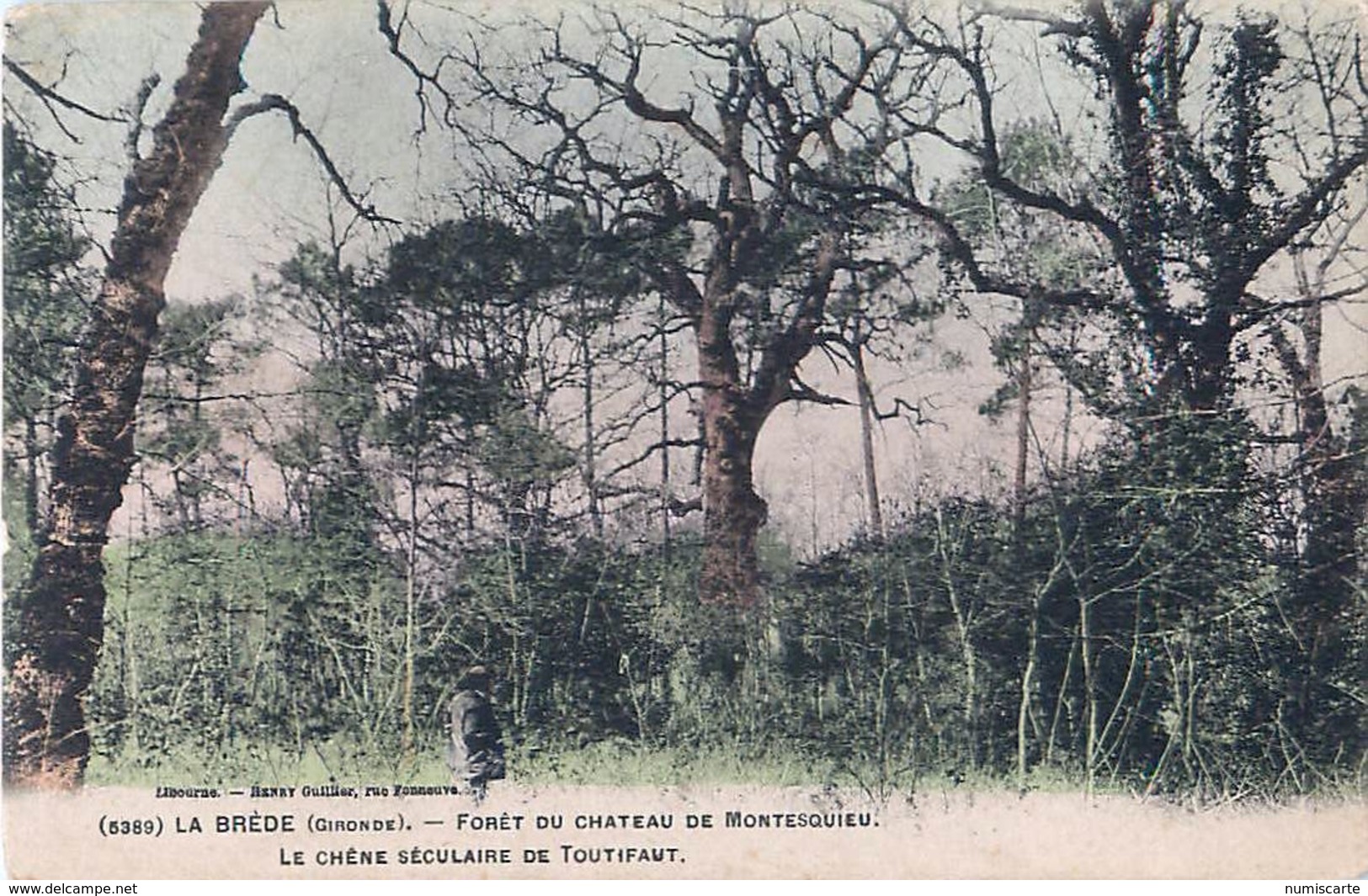 Cpa LA BREDE 33 Forêt Du Château De Montesquieu - Le Chêne Séculaire De Toutifaut - Other & Unclassified