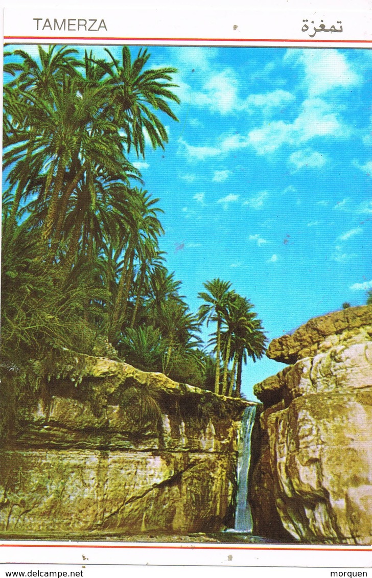 30908. Postal MIDOUN (Tunez) 1995. Vista De TAMERZA, Oasis - Tunisia (1956-...)