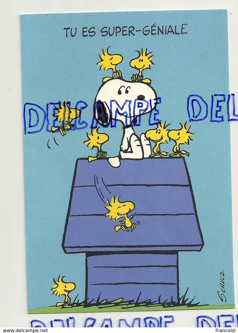 Carte Double.  Schultz Snoopy Sur Sa Niche Avec Oiseaux. Tu Es Super-Géniale. Peanuts Characters. Hallmark - Humour