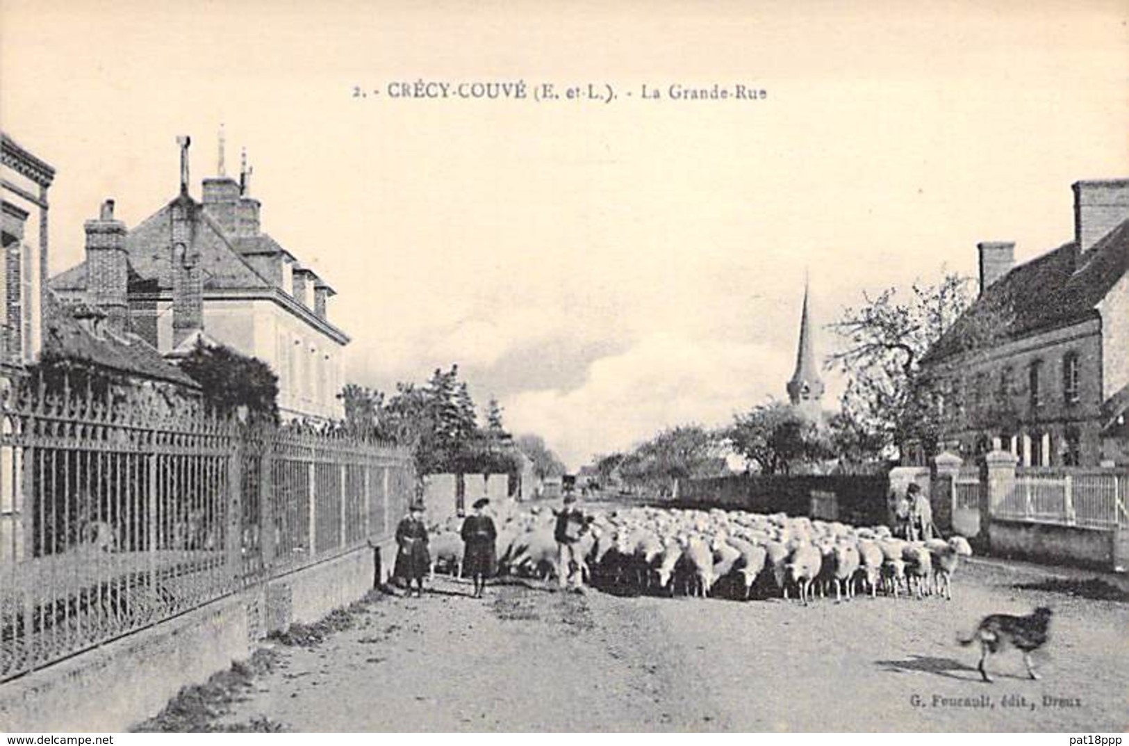 28 - CRECY COUVE : La Grande Rue ( Important Troupeau De Moutons De Passage ) CPA - Eure Et Loire - Autres & Non Classés