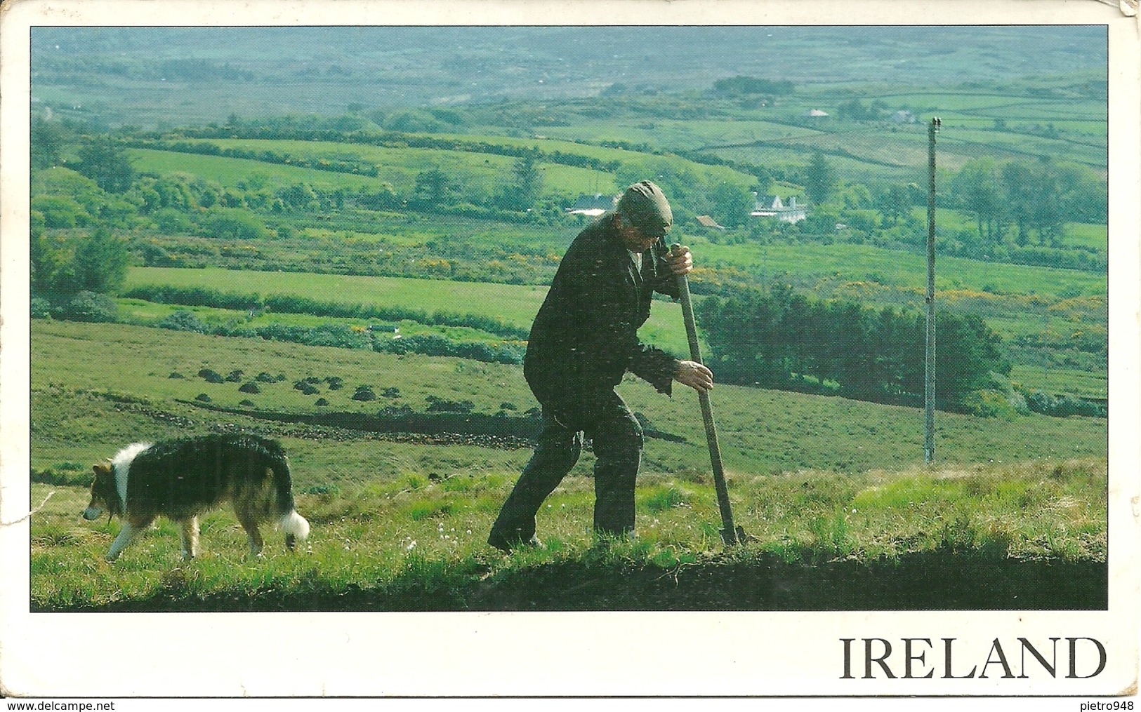 Irlanda (Ireland) Irish Landscape, Cutting The Turt, Lavori In Campagna Con La Compagnia Del Cane - Altri & Non Classificati