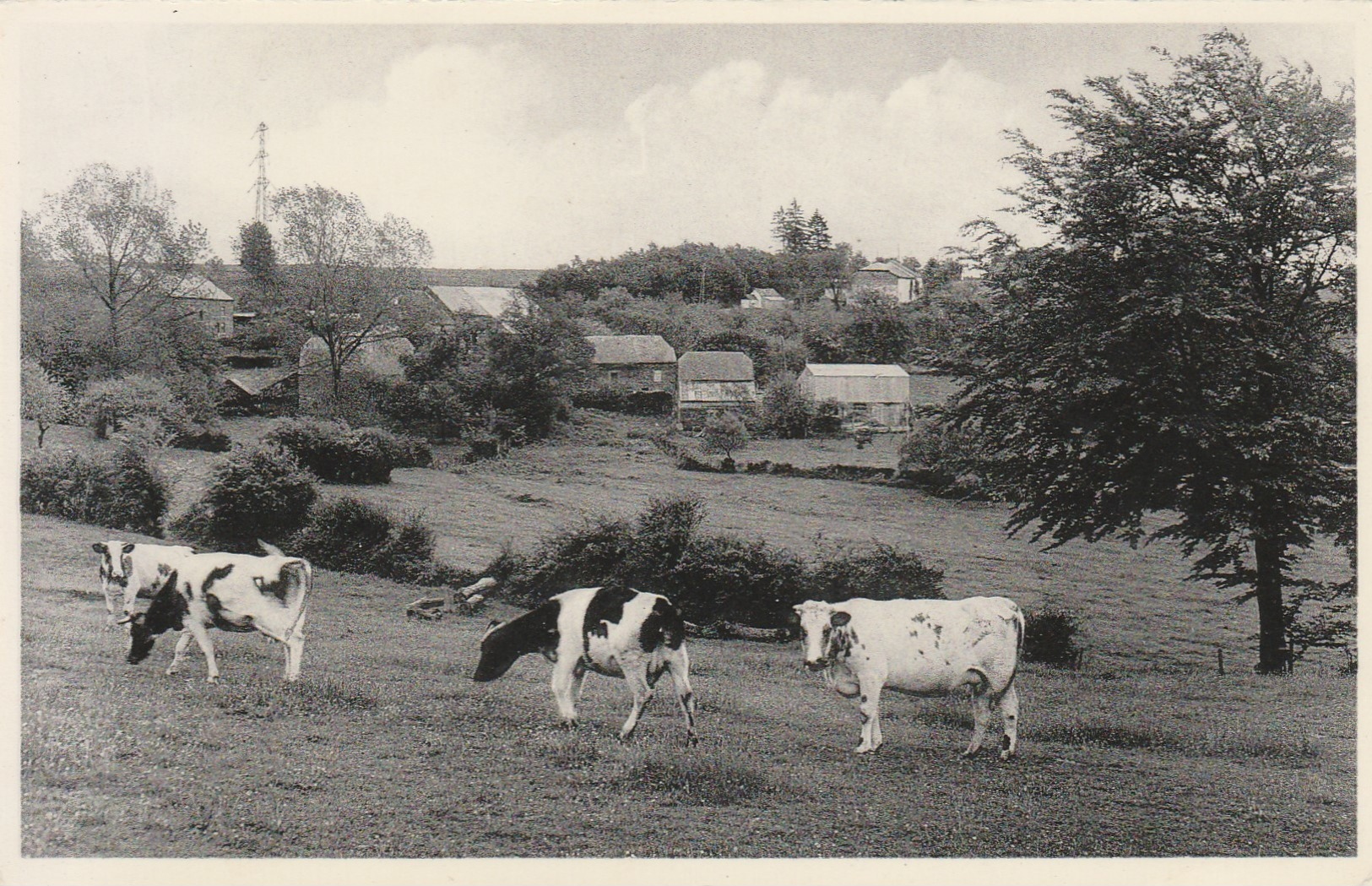 Bertogne Sur Ourthe  ,  Bethomont  ,  Panorama - Bertogne