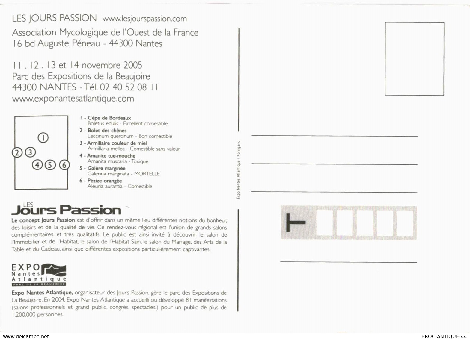 CPM* N°76 - SALON DES SPORTS D' HIVER 1987 + SALON DE LA NEIGE ET DU TOURSIME 1997 + SALON DU CHAMPIGNON 2005 - NANTES - Nantes