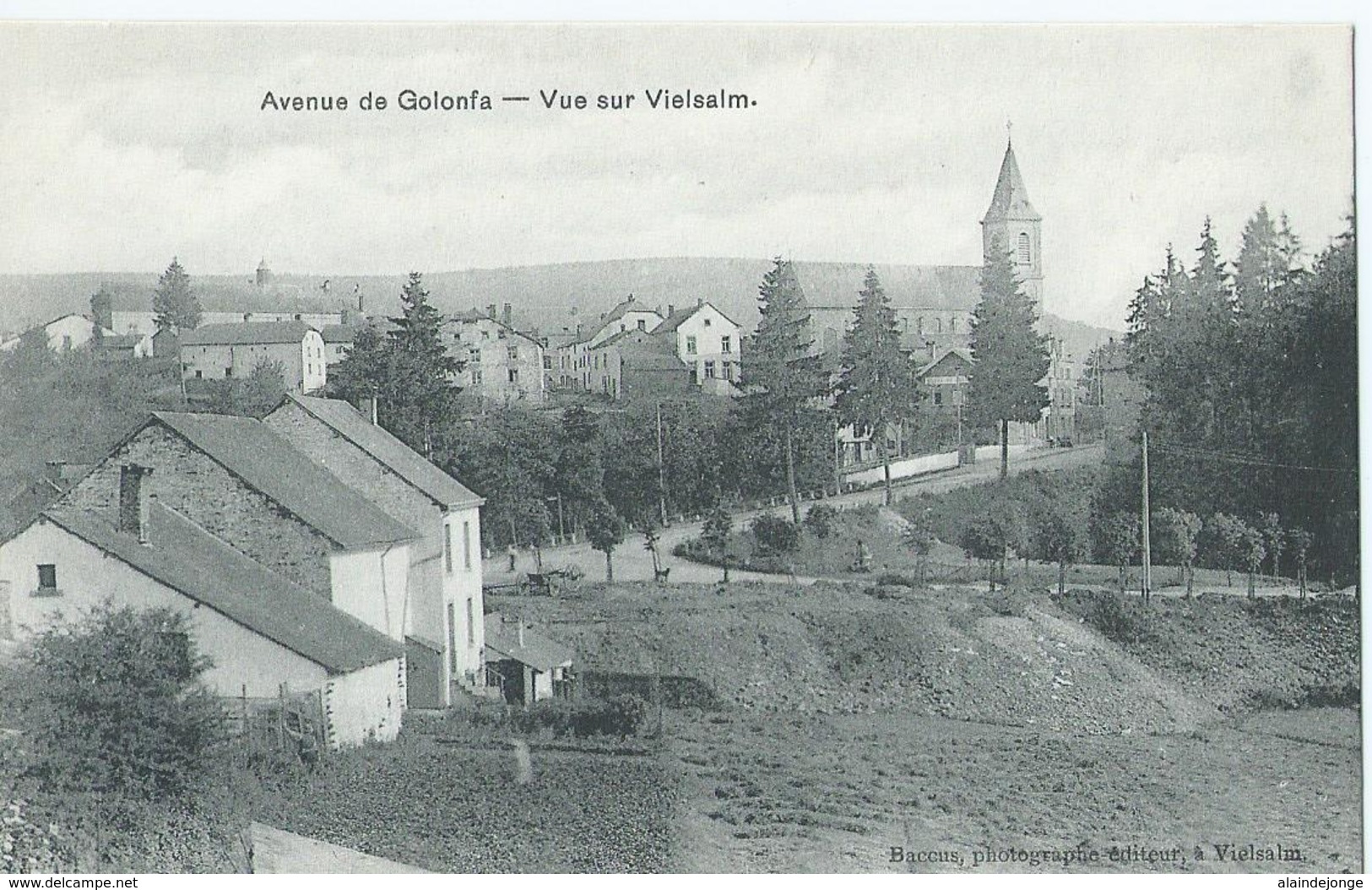 Vielsalm - Avenue De Golonfa - Vue Sur Vielsalm - Baccus Photographe Editeur - Vielsalm