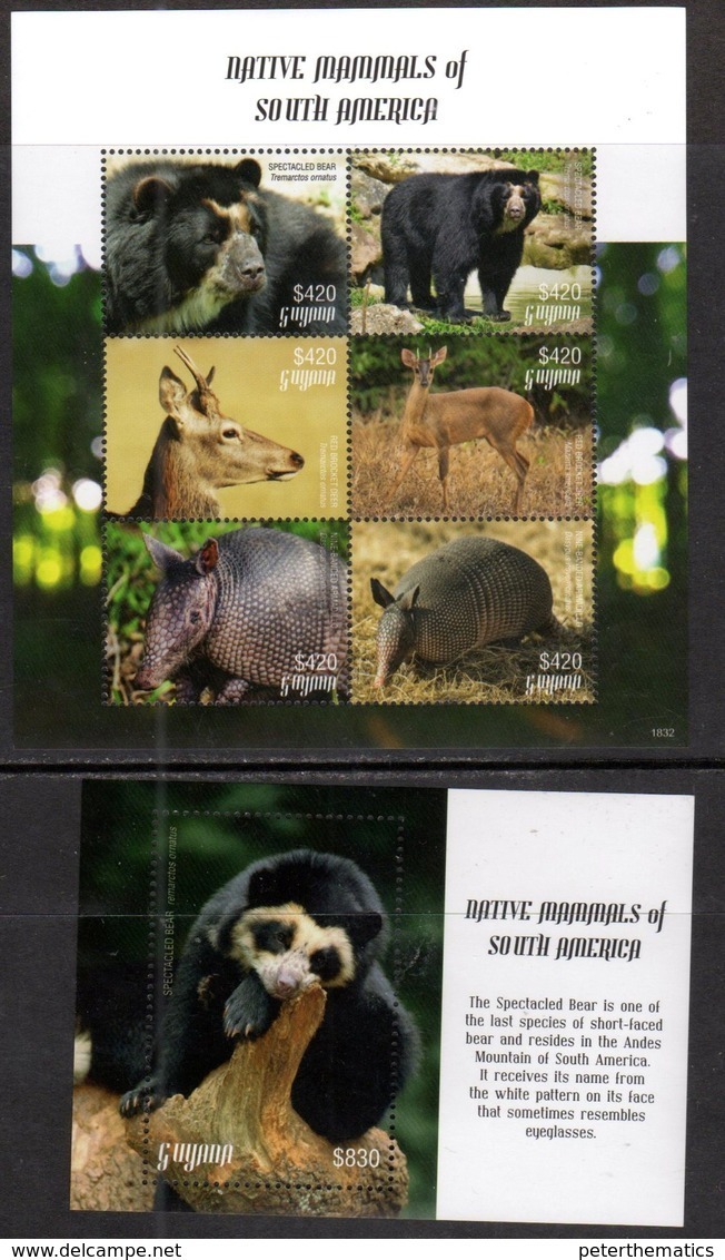 GUYANA, 2018, MNH, NATIVE MAMMALS OF SOUTH AMERICA, BEARS, DEER, ARMADILLOS,  SHEETLET+ S/SHEET , HIGH FV - Orsi