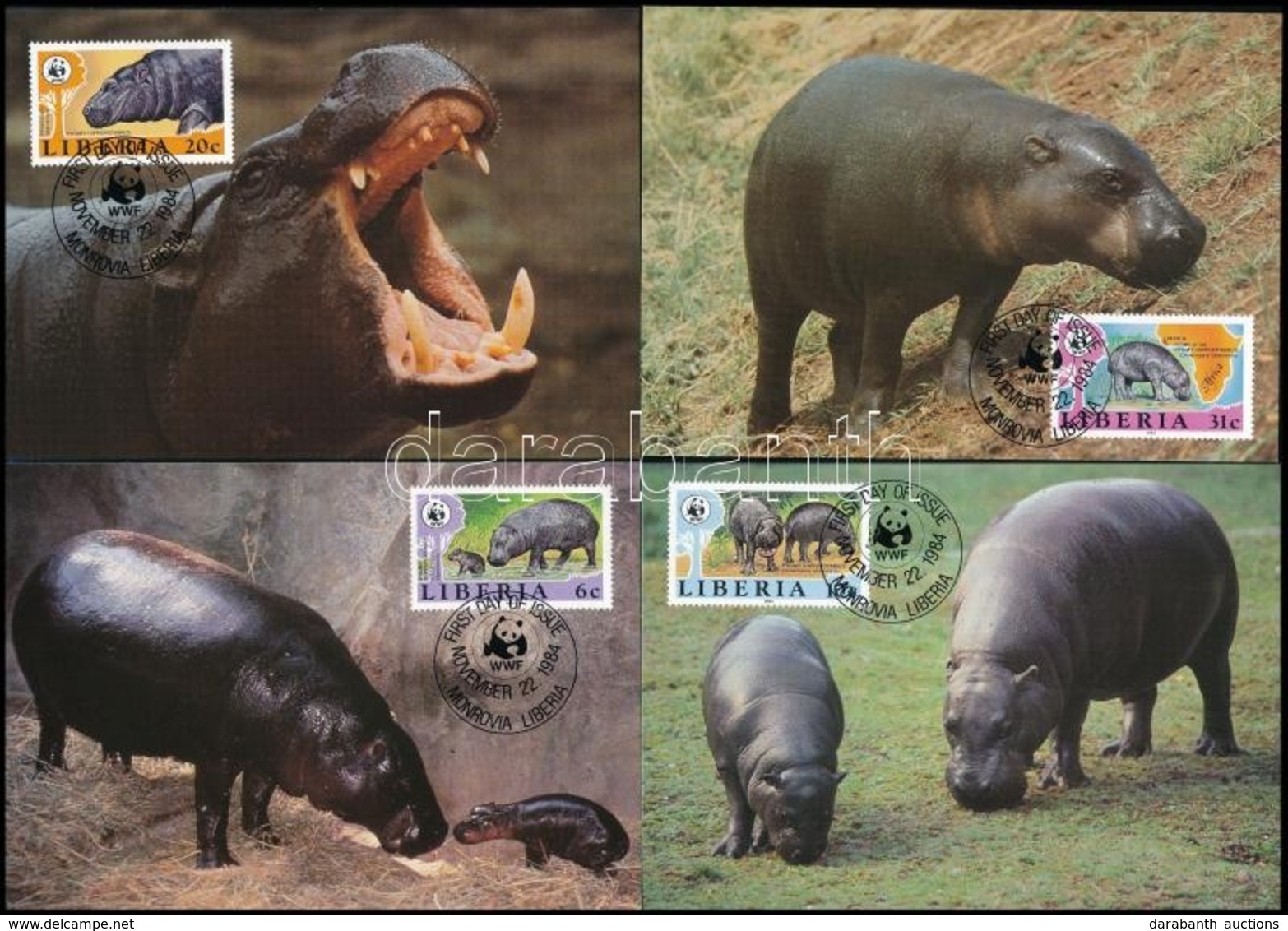 1984 WWF: Törpe Víziló Sor 4 Db CM-en,
WWF: Pygmy Hippopotamus Set On 4 CM
Mi 1315-1318 - Andere & Zonder Classificatie