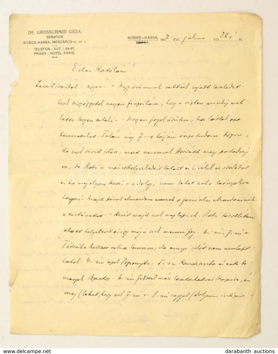 1932 Kassa, Dr. Grosschmid Géza (1872-1934) A Kassai Jogászkamara Elnöke, Csehszlovák Szenátor, Királyi Közjegyző, és Má - Unclassified