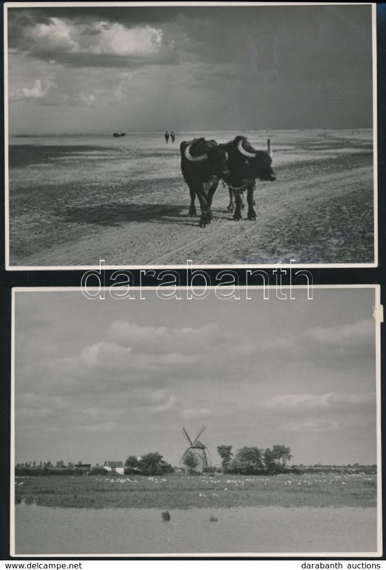 Cca 1936 Czvek Gyula 4 Db Pecséttel Jelzett, Vintage Fotóművészeti Alkotása, 18x12 Cm - Andere & Zonder Classificatie