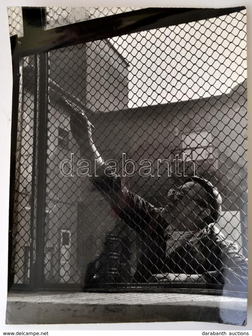 Cca 1957 Tomori Ede (1920-1997) Budapesti Fotóművész Hagyatékából Pecséttel Jelzett, Vintage Fotóművészeti Alkotás, 39x2 - Other & Unclassified