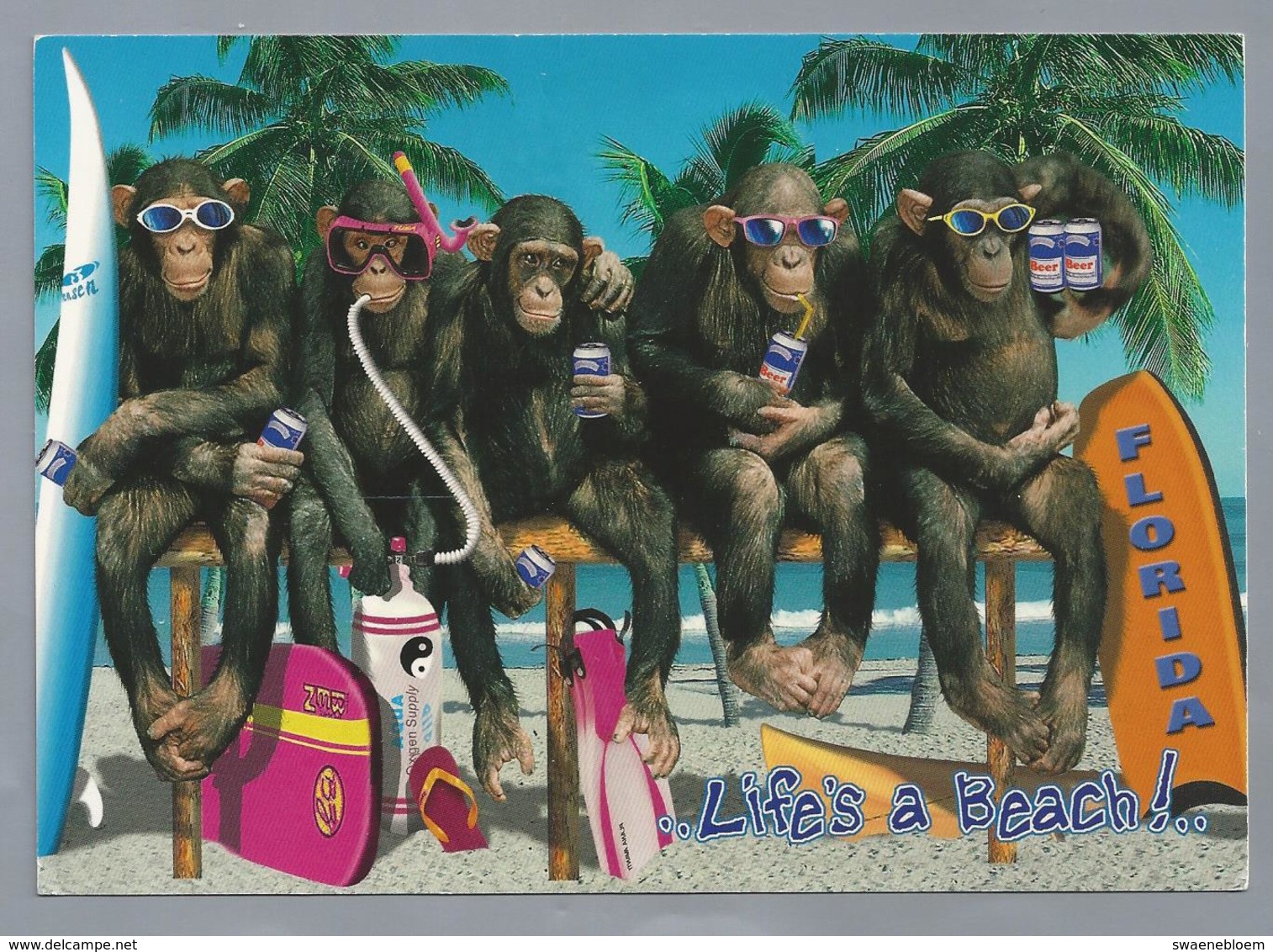 US.- FLORIDA. Life's A Beach!.. Apen. Monkey's - Gruss Aus.../ Gruesse Aus...