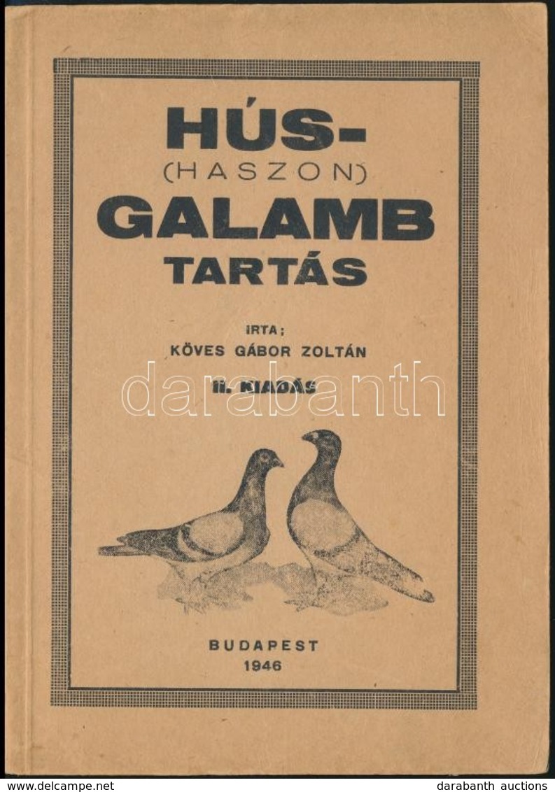 Köves Gábor Zoltán: Hús- (haszon) Galamb Tartás. Bp.,1946, Athenaeum, 31 P. Kiadói Papírkötésben. - Non Classificati